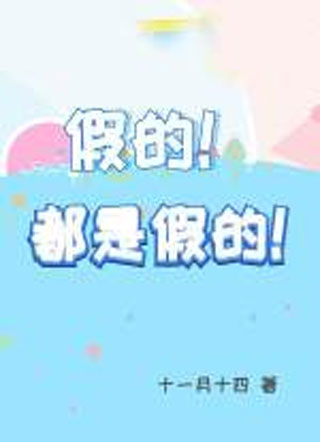 假的！都是假的!小说