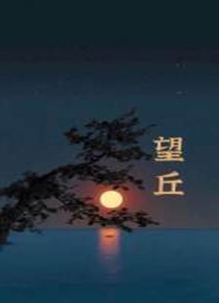望丘苍越小说