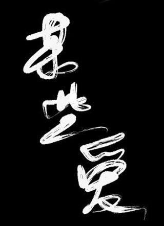 某些爱小说