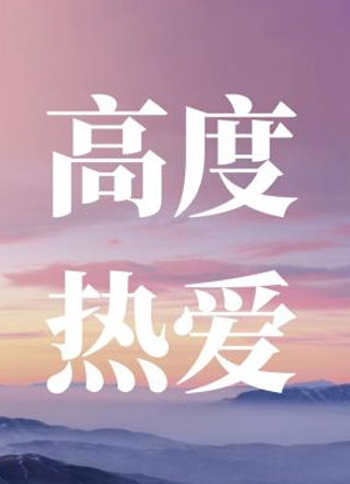 高度热爱小说