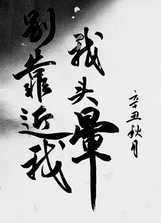 别靠近我，我头晕小说