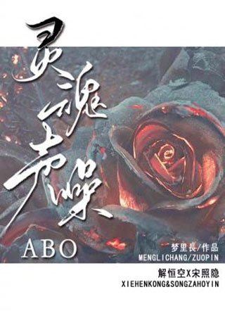 灵魂声噪小说