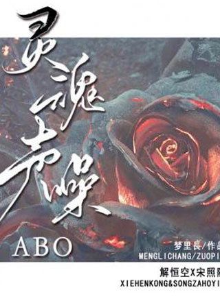 灵魂声噪小说