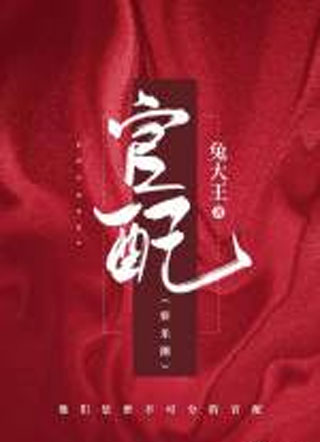 官配小说