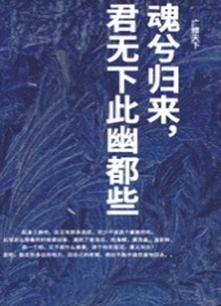 魂兮归来，君无下此幽都些小说