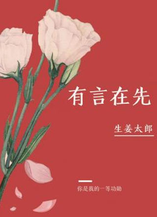 有言在先小说