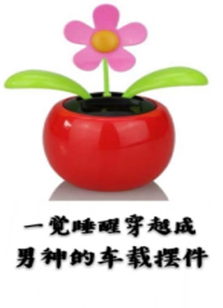 一觉睡醒穿越成男神的车载摆件小说