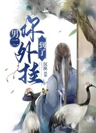 男二，你外挂到了小说