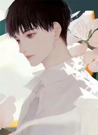 先生从未爱我小说