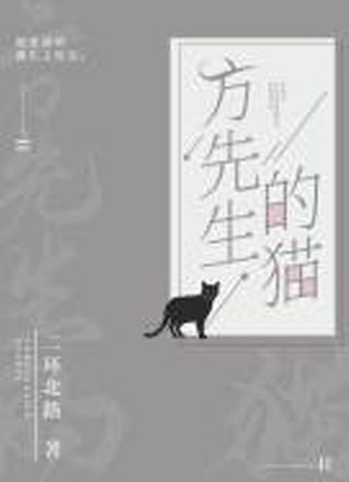 方先生的猫小说