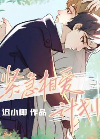 紧急相爱计划小说