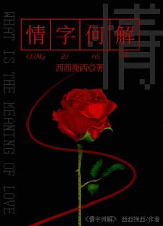 情字何解小说