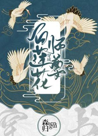 陆离穿成白莲花师尊小说