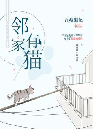 邻家有猫小说