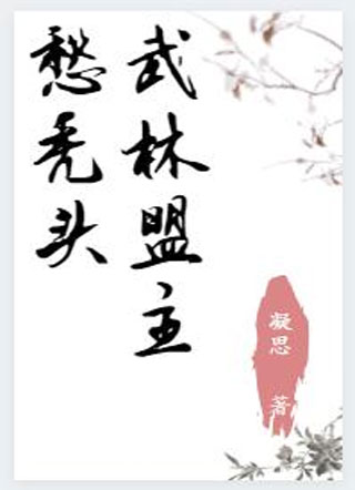 武林盟主愁秃头小说