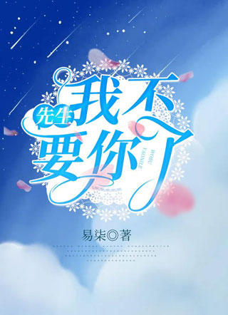 先生，我不要你了小说