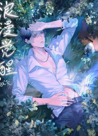 浪漫觉醒小说
