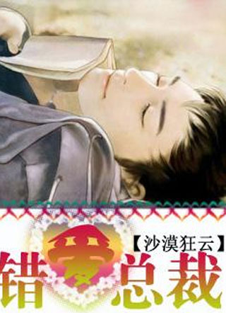错爱总裁小说
