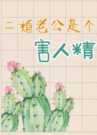二婚老公是个害人精小说