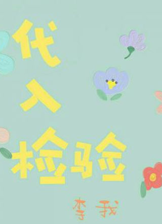 代入检验小说