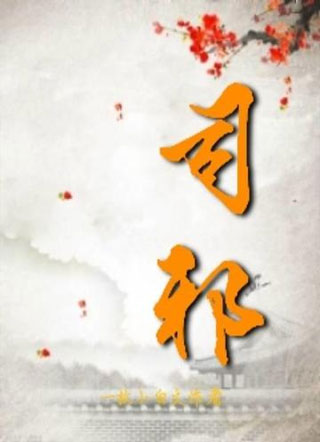 司邪小说