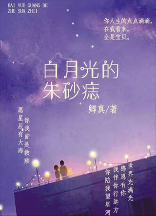 白月光的朱砂痣小说