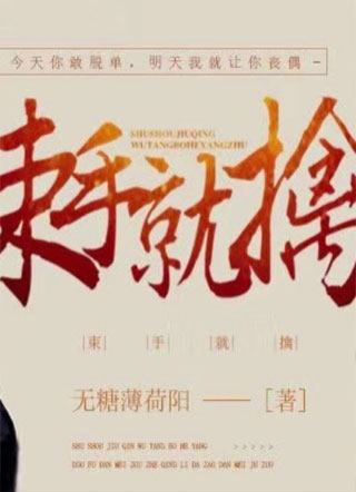 束手就擒束鸽小说