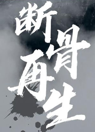 断骨再生小说