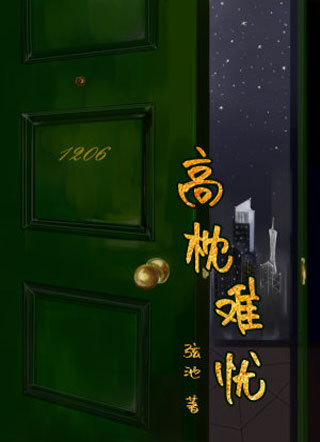 高枕难忧小说