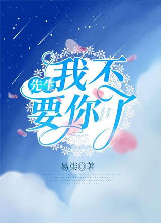 先生,我不要你了小说