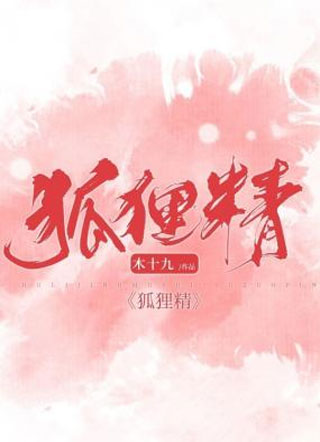 狐狸精许锦淮小说