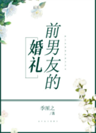 前男友的婚礼小说