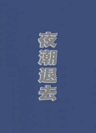 夜潮退去小说