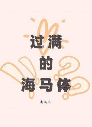 过满的海马体小说