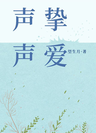 声声挚爱小说
