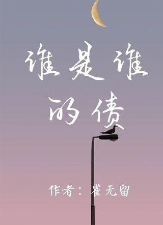 谁是谁的债小说