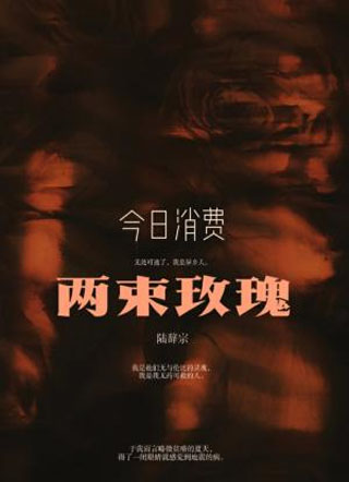 今日消费两束玫瑰小说