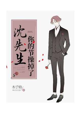 沈先生，你的节操掉了小说