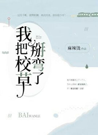 我把校草掰弯了小说