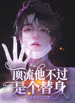 顶流他不过是个替身柳淮秋小说