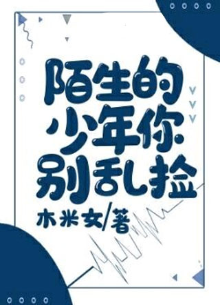 陌生的少年你别乱捡小说