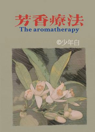 芳香疗法少年白小说