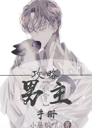 快穿之攻略男主手册小说