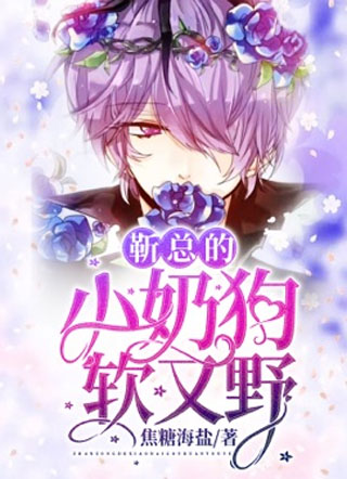 靳总的小奶狗软又野小说