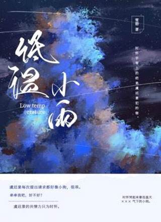 低温小雨小说