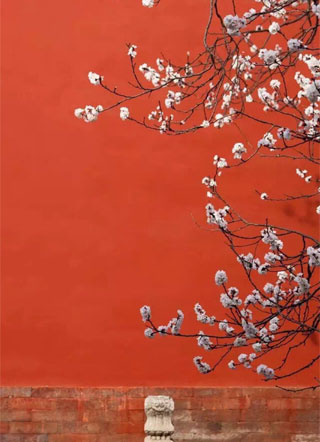 转生后桃花债追上门小说