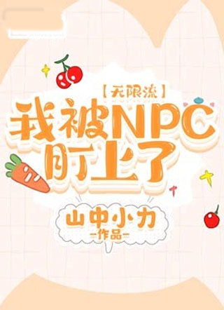 我被NPC盯上了【无限流】小说