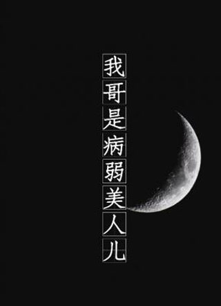 我哥是病弱美人儿小说