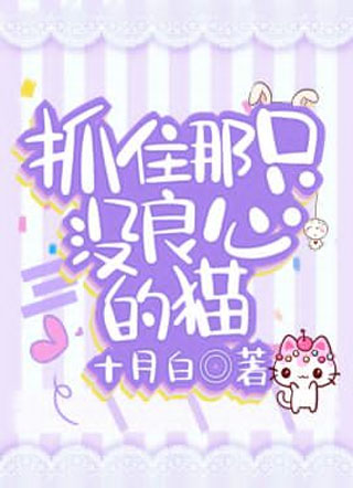 抓住那只没良心的猫小说