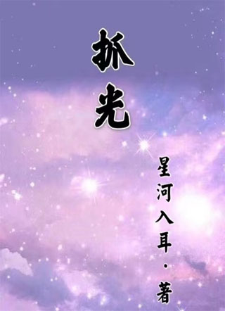 抓光小说
